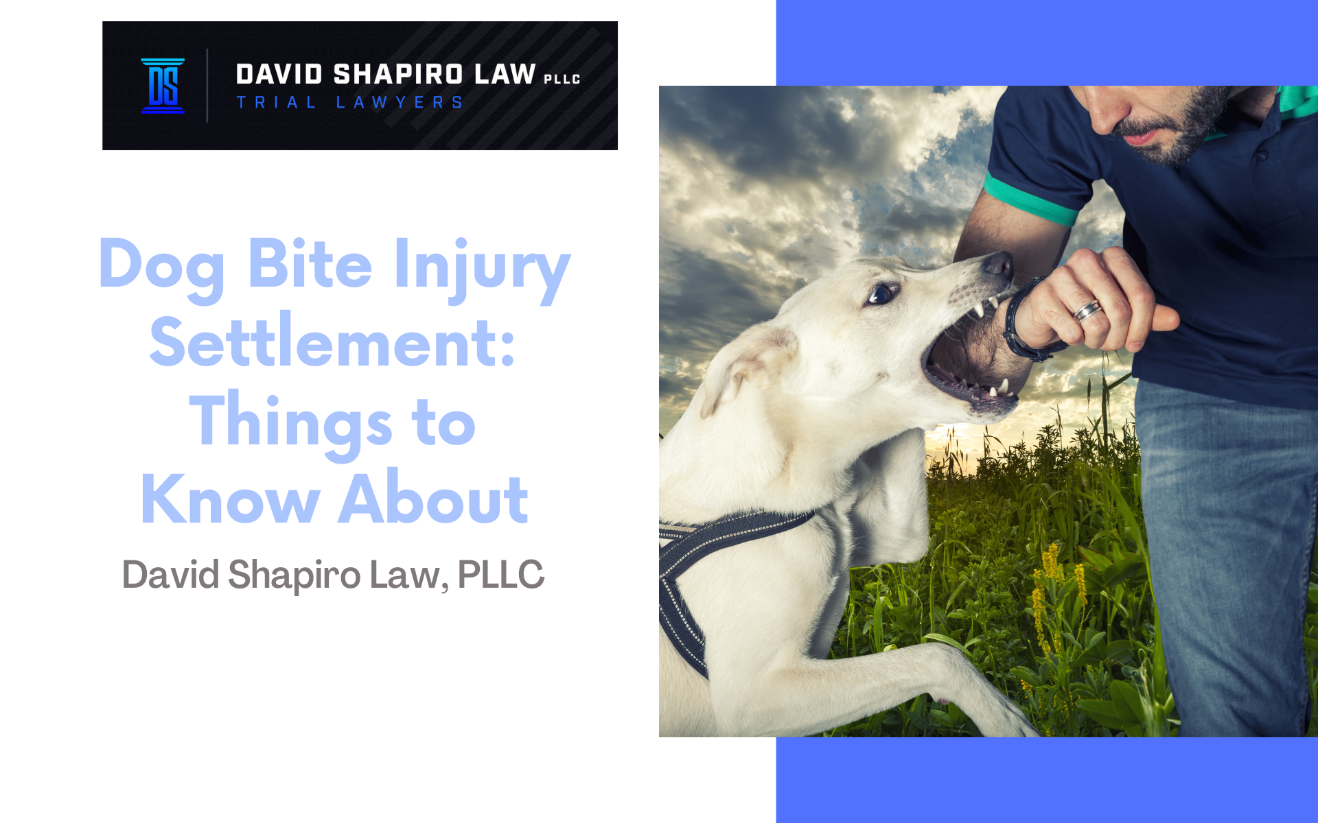 Dog Bite Injury Settlements Things to Know About