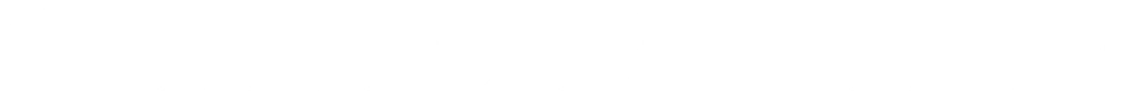 Shapiro Horizontal Logo