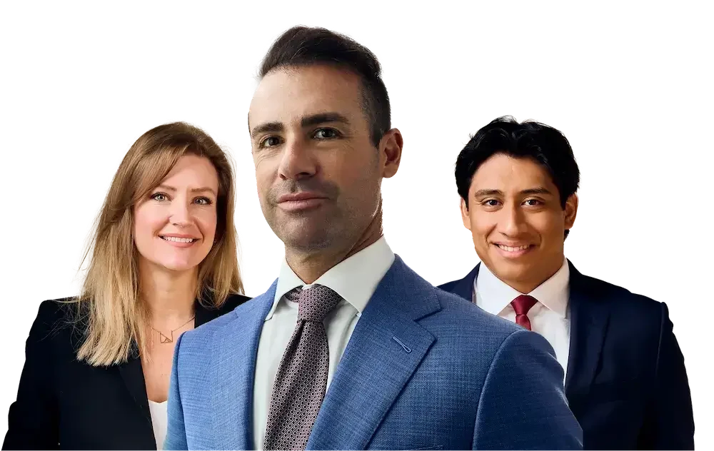 Shapiro Team Cutout